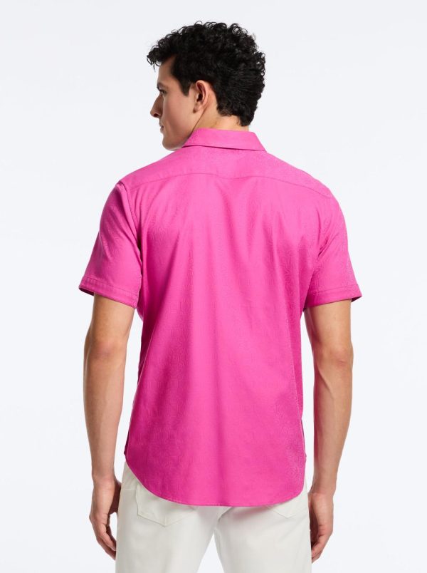 Toddhatecke.shop069778bd67 4