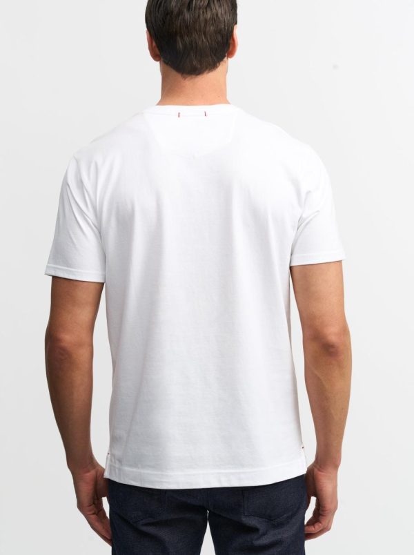 Toddhatecke.shop08cd3cb2f4 3