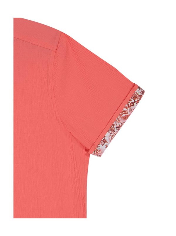 Toddhatecke.shop0daad1c871 4