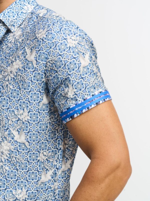 Toddhatecke.shop200ca67003 4