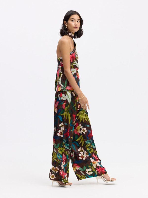 Toddhatecke.shop4d270400ec 2