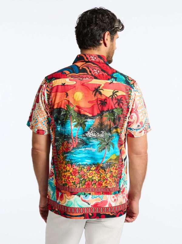 Toddhatecke.shop582e71e34c 1