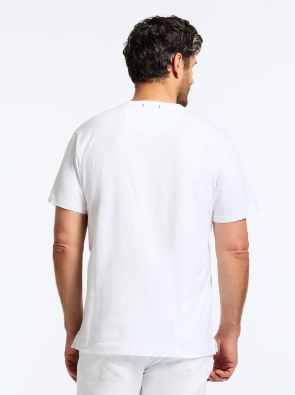 Toddhatecke.shop68b14e6fc7 5