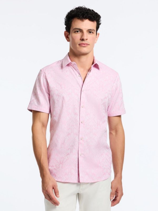 Toddhatecke.shop6efd2596b2 1