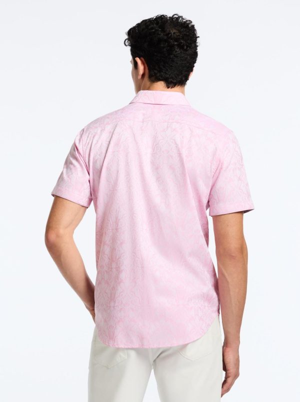 Toddhatecke.shop6efd2596b2 3