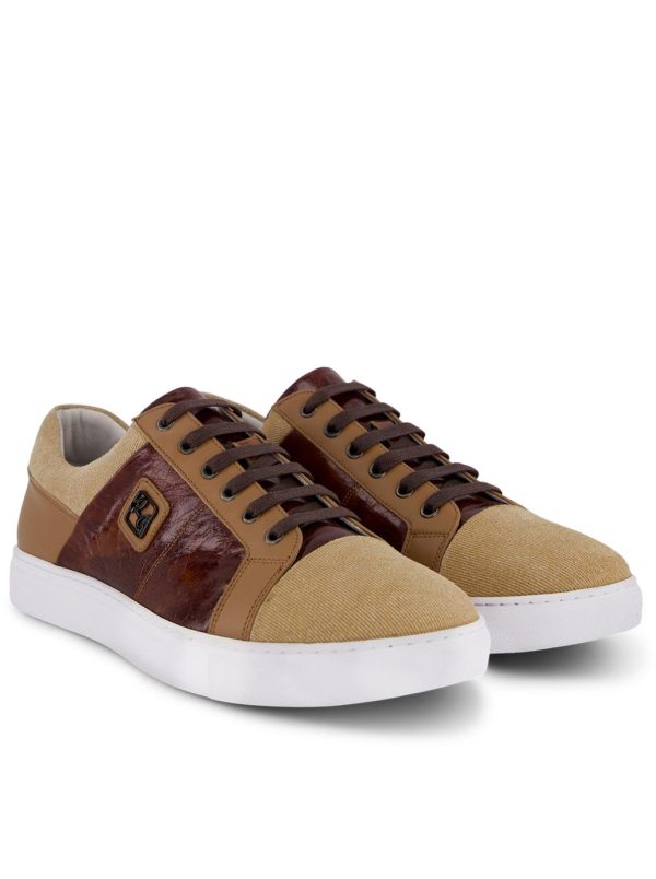 Toddhatecke.shop719e28dcd6 1