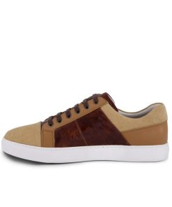 Toddhatecke.shop719e28dcd6 4