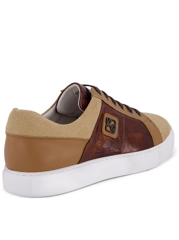 Toddhatecke.shop719e28dcd6 5