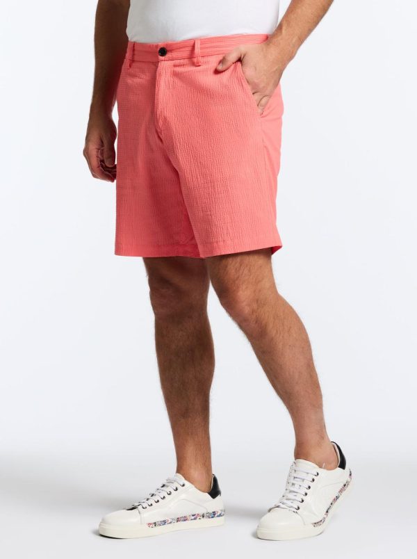 Toddhatecke.shopb5cd17e942 5