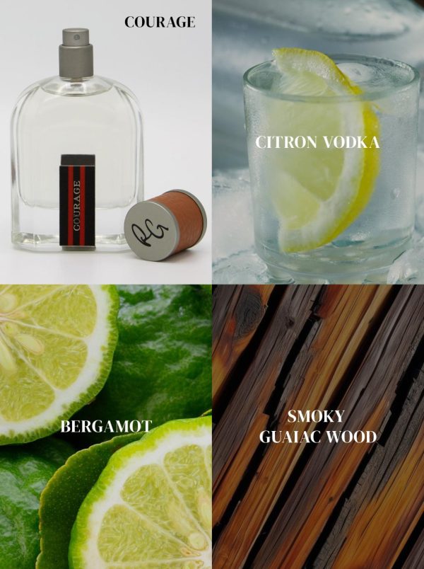 Toddhatecke.shopbbe35f9bd4 2