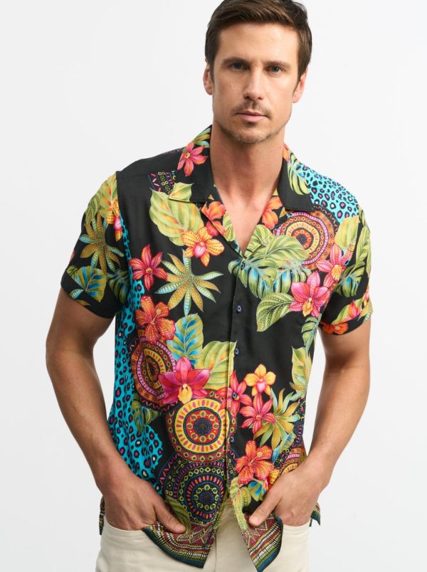 Toddhatecke.shopc189b2c3ea 1