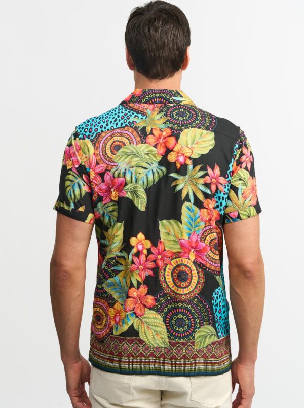 Toddhatecke.shopc189b2c3ea 3