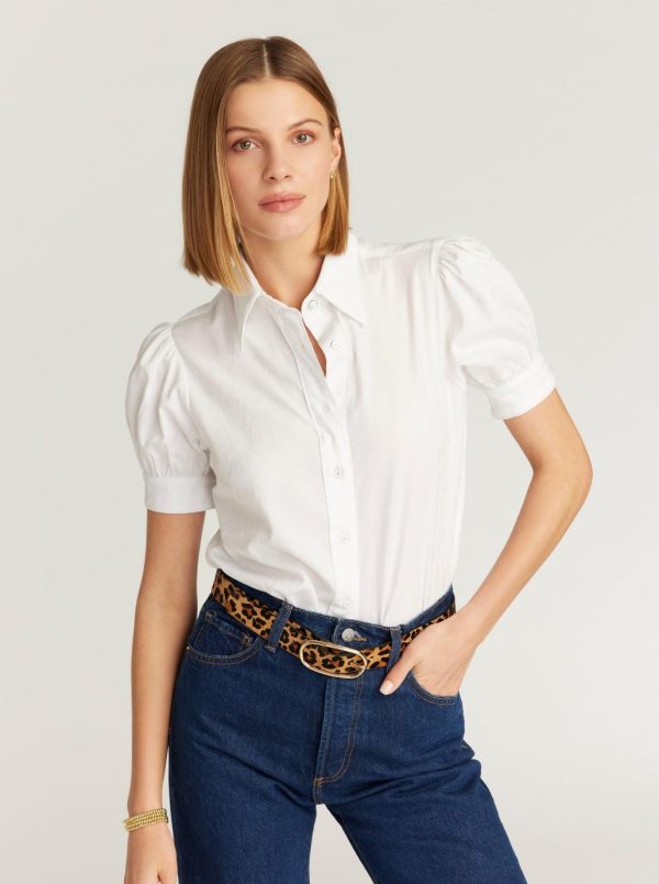 Toddhatecke.shopcc41274078 1