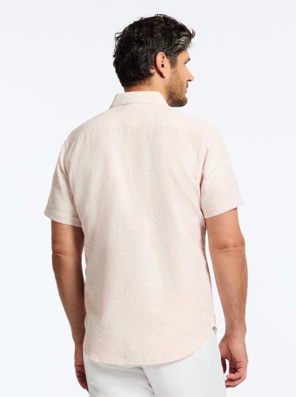 Toddhatecke.shopdf9374a462 4