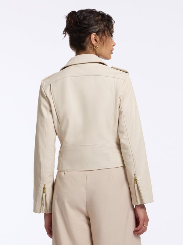 Toddhatecke.shopf1b709775e 5